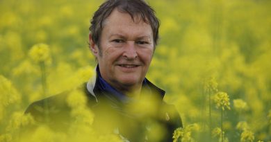 HAINDLING: Bayerische Weltmusik live in Regensburg