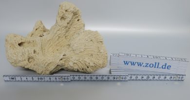 Vorsicht bei Urlaubsmitbringseln